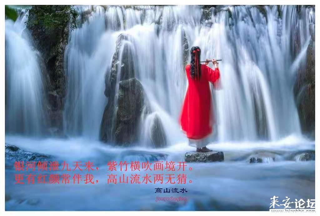 证券代码:000007 证券简称:*ST全新 公告编号:2024-003